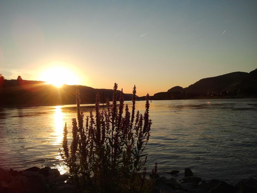 Fe Wo Am Alten Rathaus Andernach Pokój zdjęcie